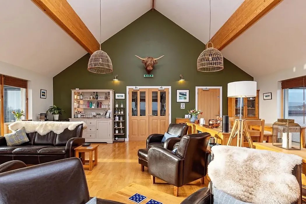 Farrow and Ball Bancha 298 paint color