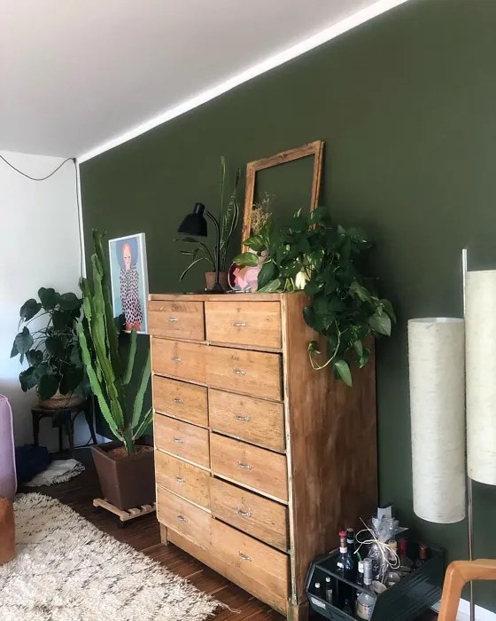 Farrow and Ball Bancha 298 paint color