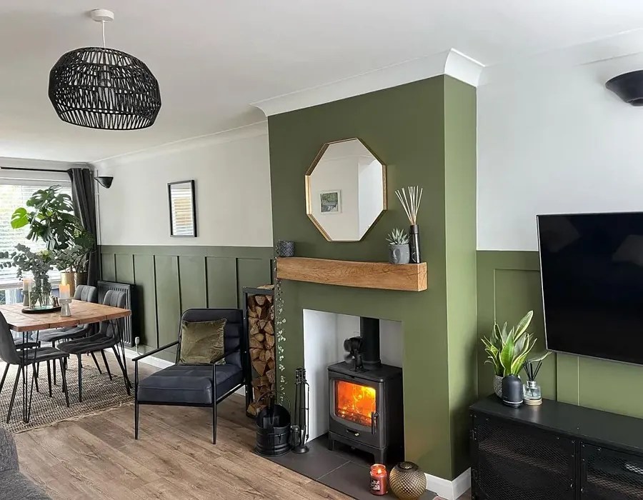 Farrow and Ball Bancha 298 paint color