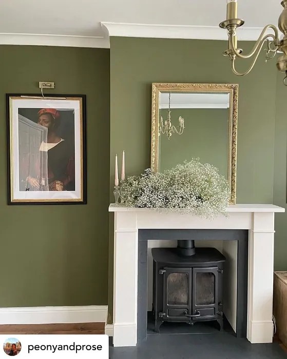 Farrow and Ball Bancha 298 paint color