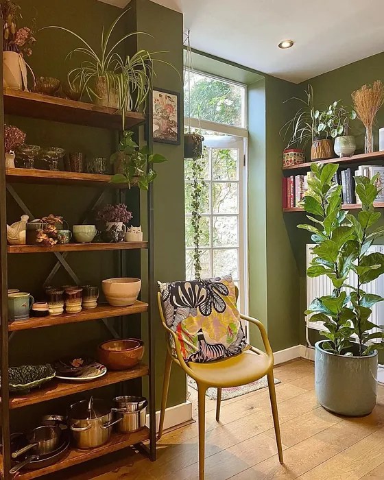 Farrow and Ball Bancha 298 paint color