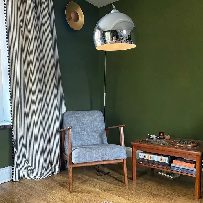 Farrow and Ball Bancha 298 paint color