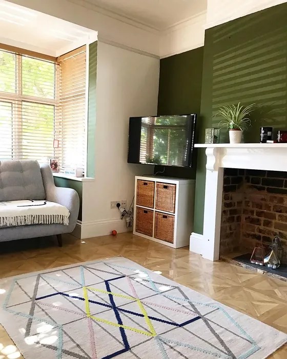 Farrow and Ball Bancha 298 paint color