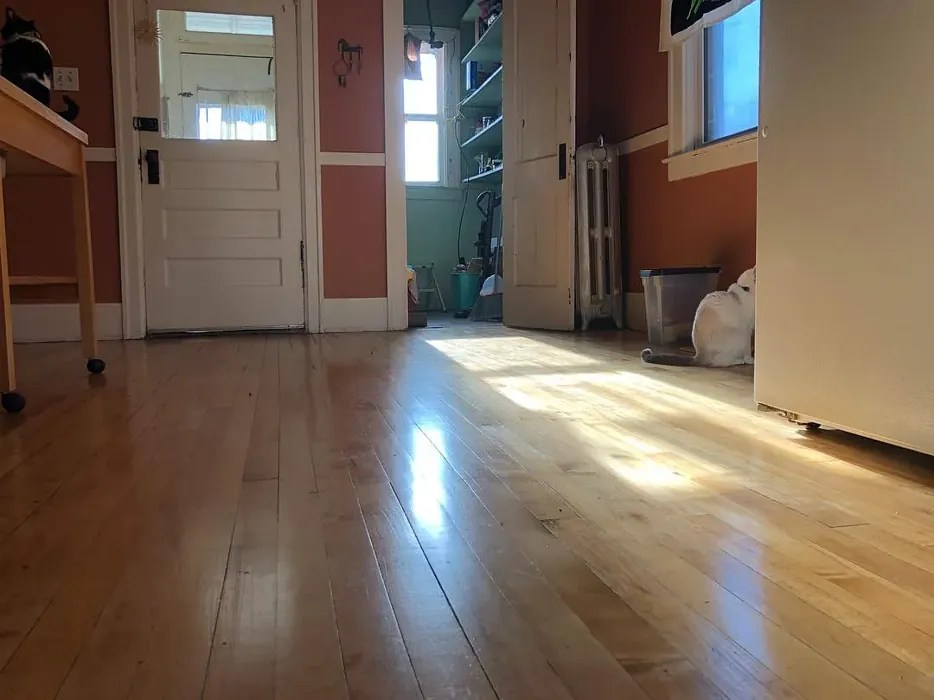 Behr Cabana Melon MQ439 10 real pictures