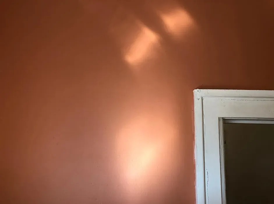 Behr Cabana Melon MQ439 10 real pictures