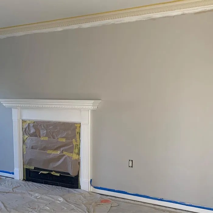 Behr Chic Gray PPU2610 22 real pictures