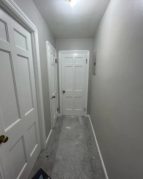 Behr Chic Gray PPU2610 22 real pictures