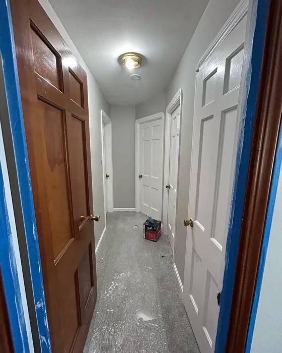 Behr Chic Gray PPU2610 22 real pictures