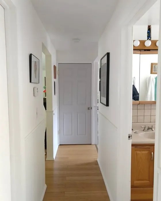 Behr Chic Gray PPU2610 22 real pictures