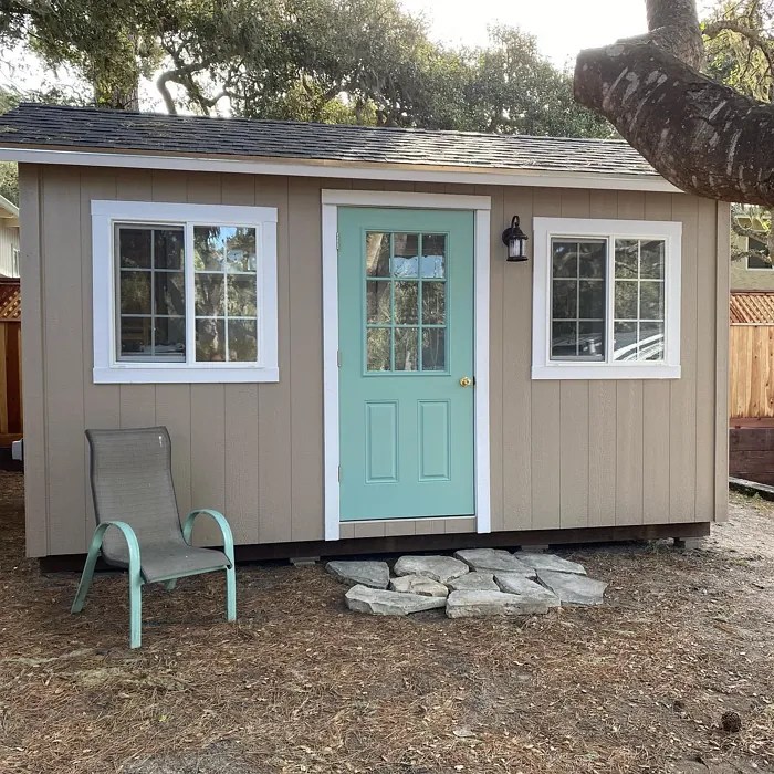 Behr Shiitake N2204 12 real pictures