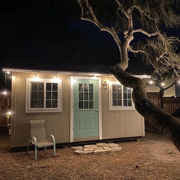 Behr Shiitake N2204 12 real pictures