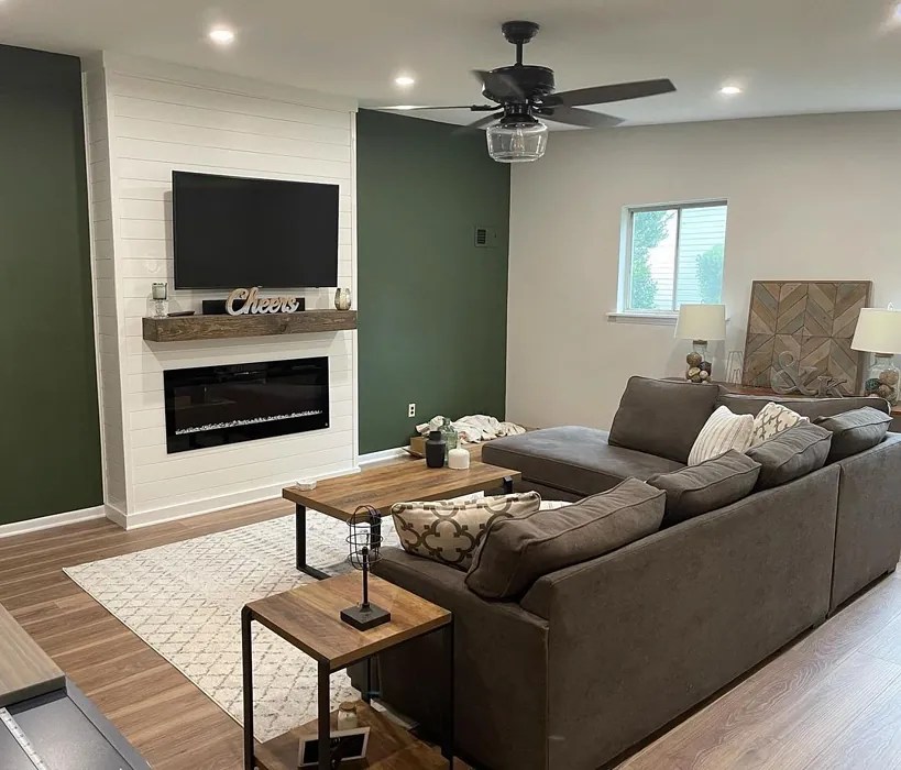 Benjamin Moore Backwoods 469 15 real pictures