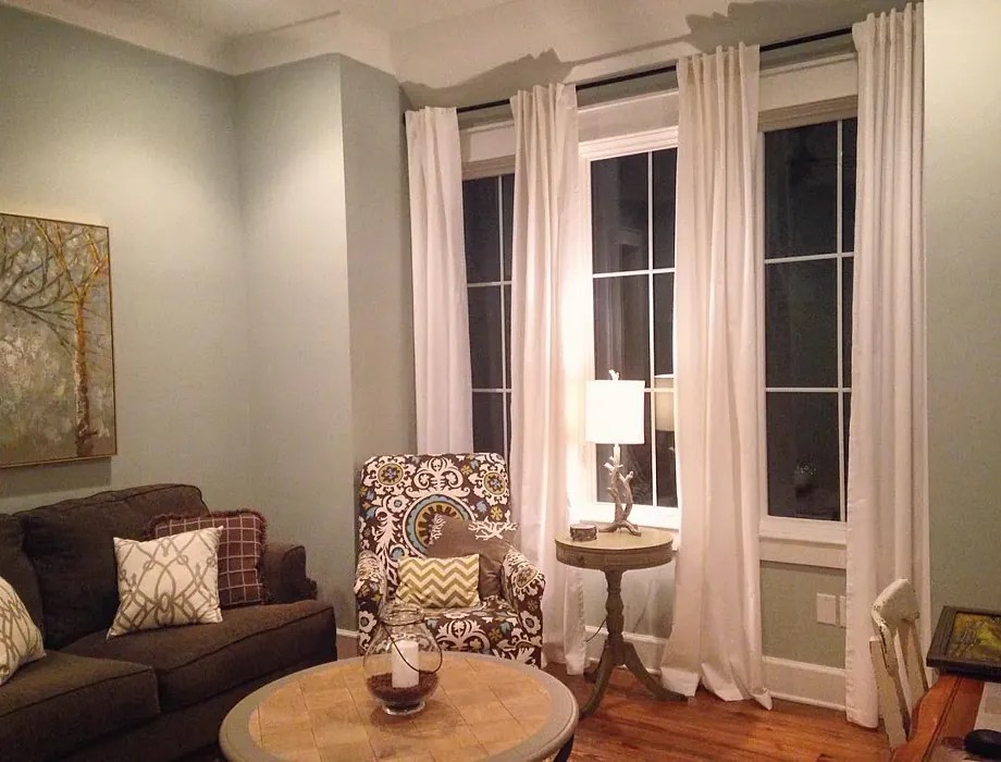 Benjamin Moore Gray Wisp 1570 41 real pictures