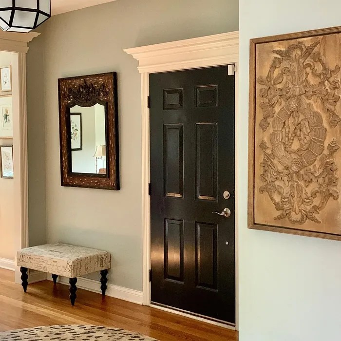 Benjamin Moore Gray Wisp 1570 41 real pictures