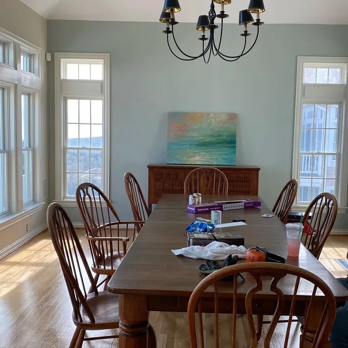 Benjamin Moore Gray Wisp 1570 41 real pictures