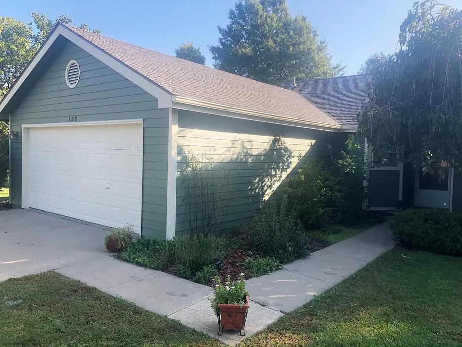 Benjamin Moore Rosepine 461 49 real pictures