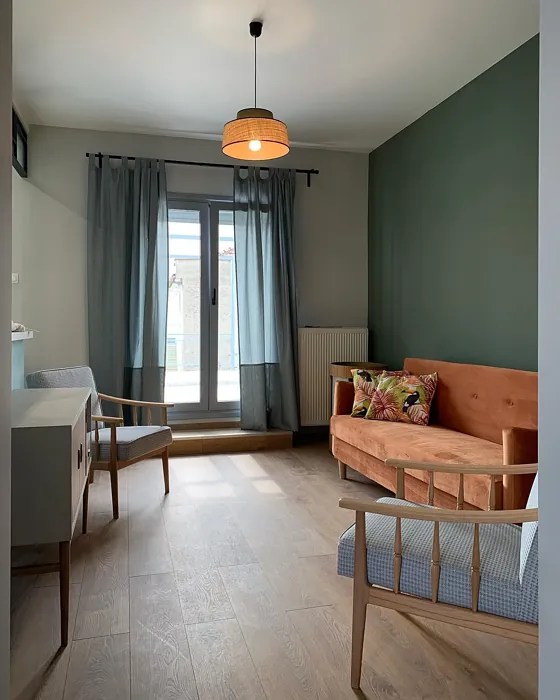 Benjamin Moore Rosepine 461 49 real pictures