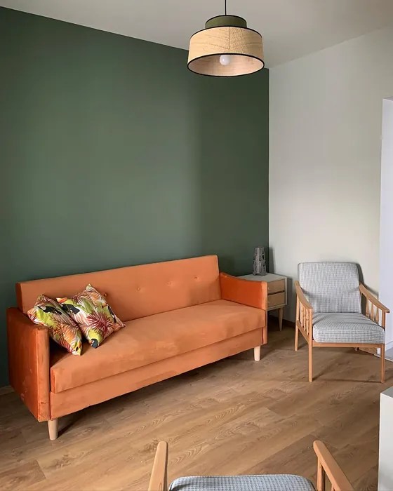 Benjamin Moore Rosepine 461 49 real pictures