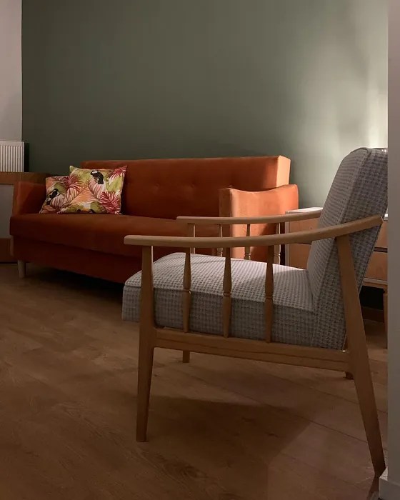 Benjamin Moore Rosepine 461 49 real pictures