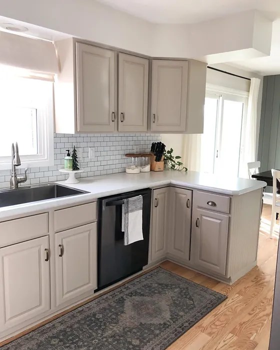 Benjamin Moore Stone Hearth 984 26 real pictures