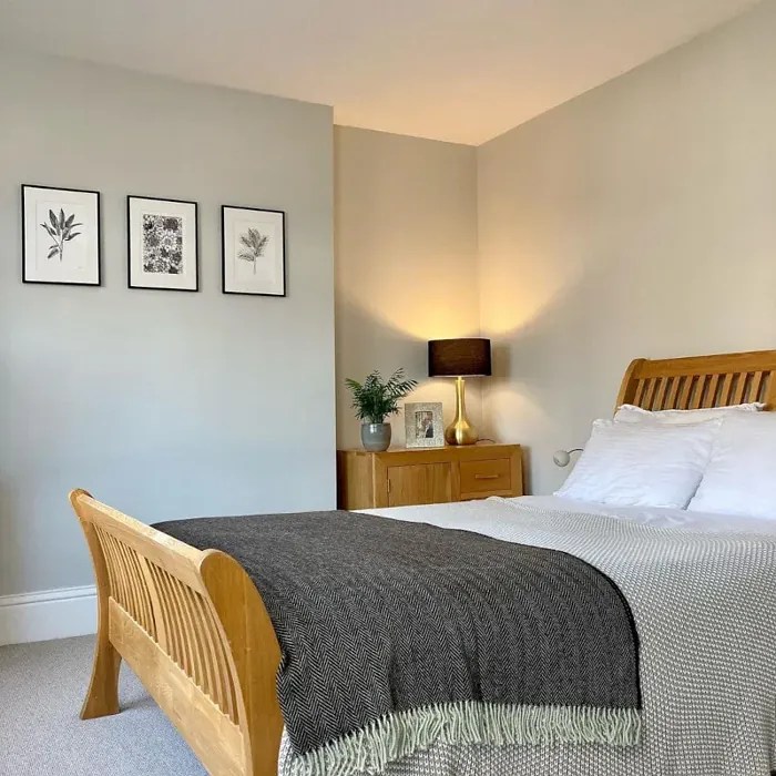 Little Greene Ceviche 230 36 real pictures