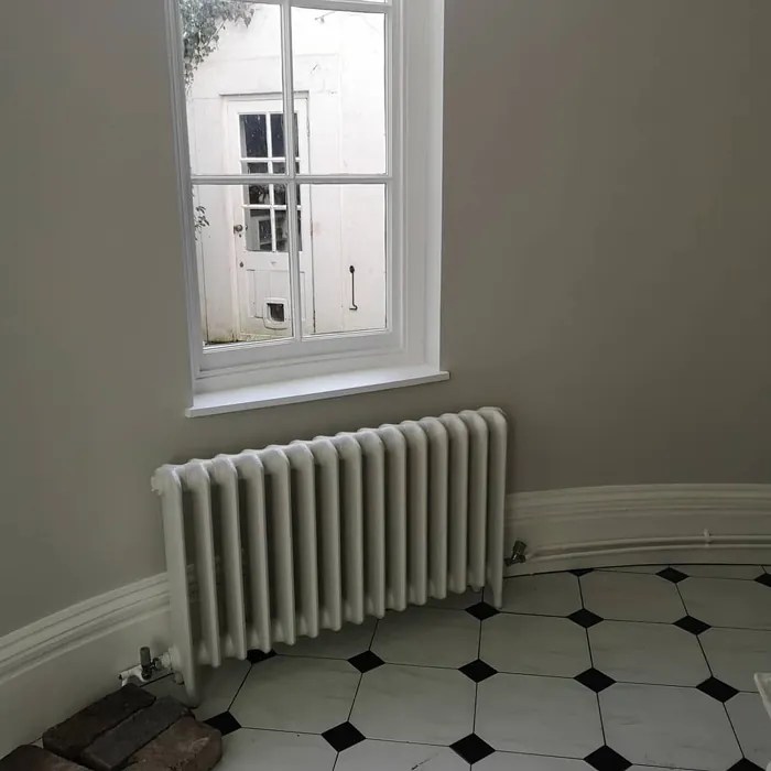 Little Greene Ceviche 230 36 real home pictures