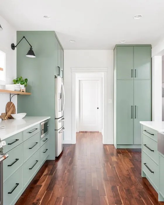 Sherwin Williams Dried Thyme SW 6186 108 real pictures