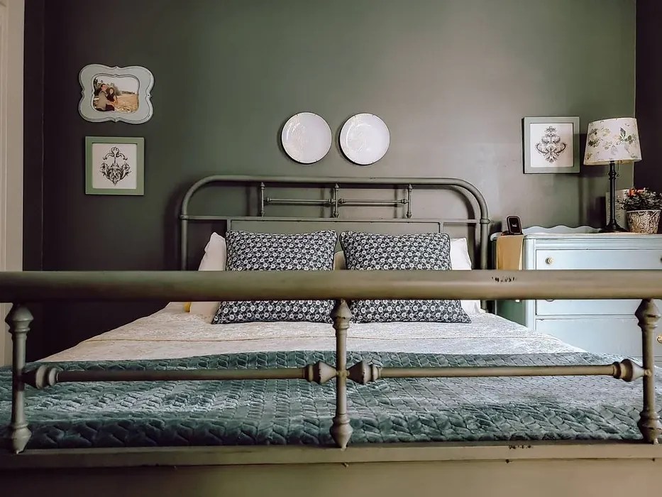 Sherwin Williams Dried Thyme SW 6186 108 real pictures