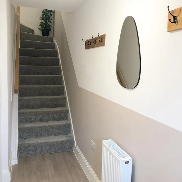 Dulux Malt Chocolate 14 real pictures