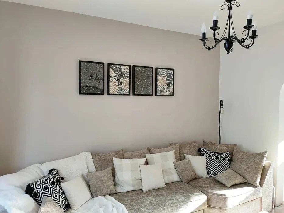 Dulux Malt Chocolate 14 real pictures