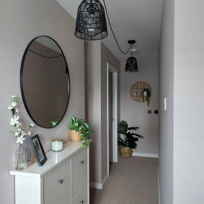 Dulux Malt Chocolate 14 real pictures