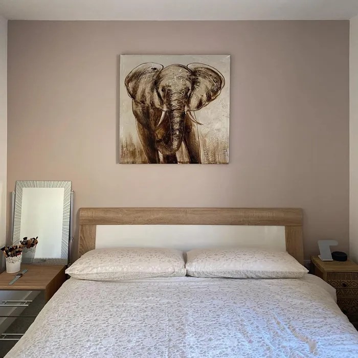 Dulux Malt Chocolate 14 real pictures