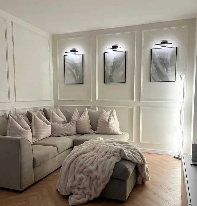 Dulux Timeless paint color