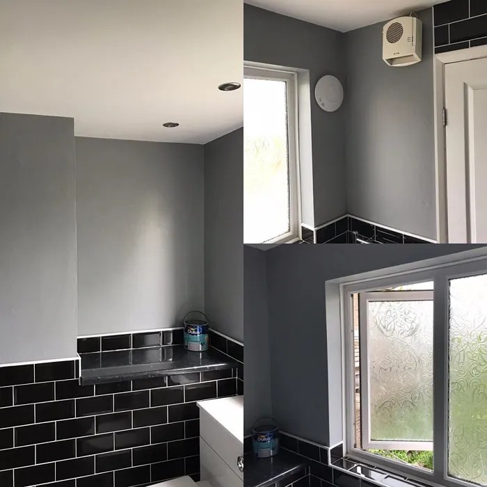 Dulux Warm Pewter 50BG 38/011 28 real pictures