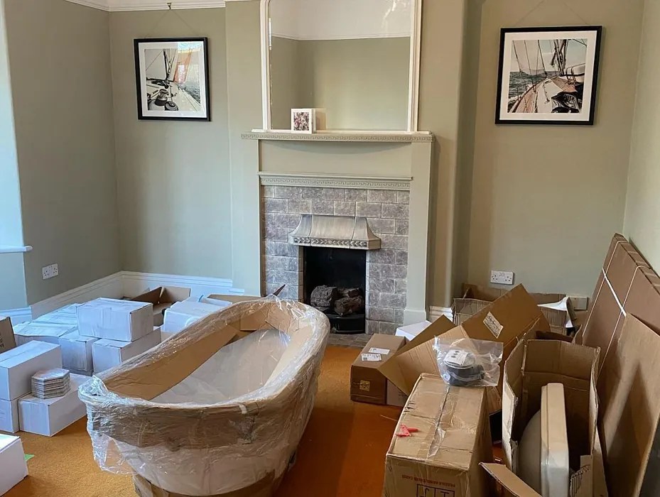 Farrow and Ball Bone 15 paint color