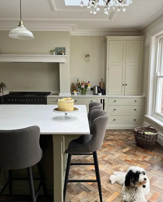 Farrow and Ball Bone 15 paint color