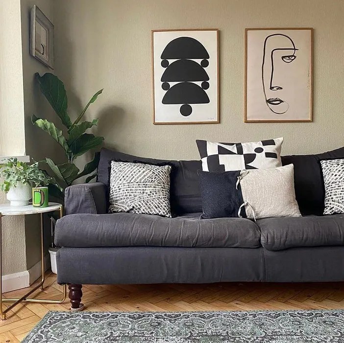 Farrow and Ball Bone 15 paint color