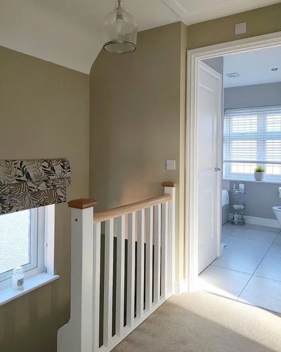 Farrow and Ball Bone 15 paint color