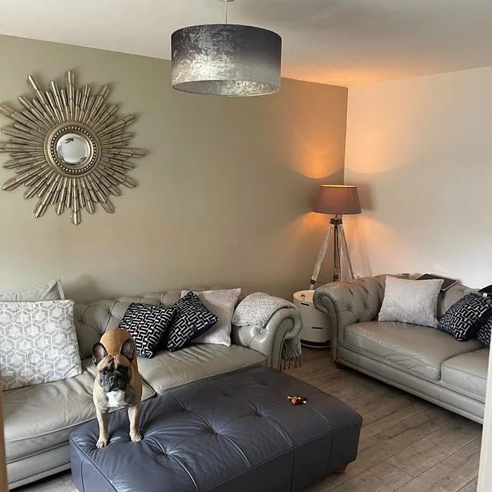 Farrow and Ball Bone 15 paint color