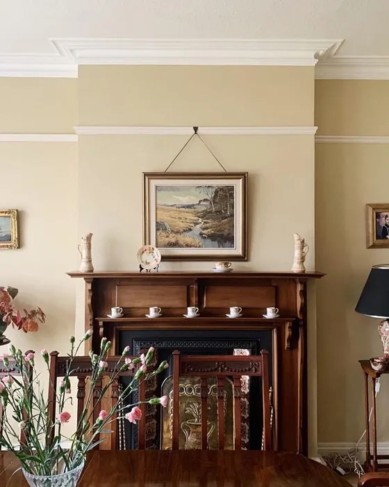 Farrow and Ball Cord 16 paint color