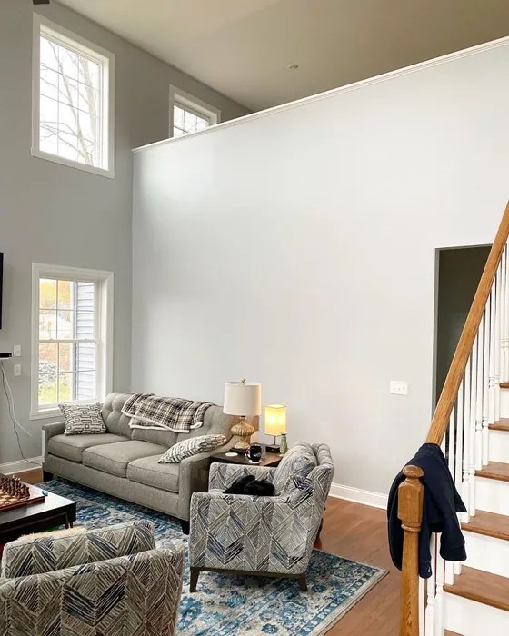 Sherwin Williams Gray Screen SW 7071 27 real pictures