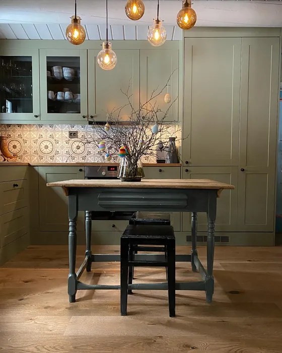 Jotun Green Leaf 8469 46 real pictures