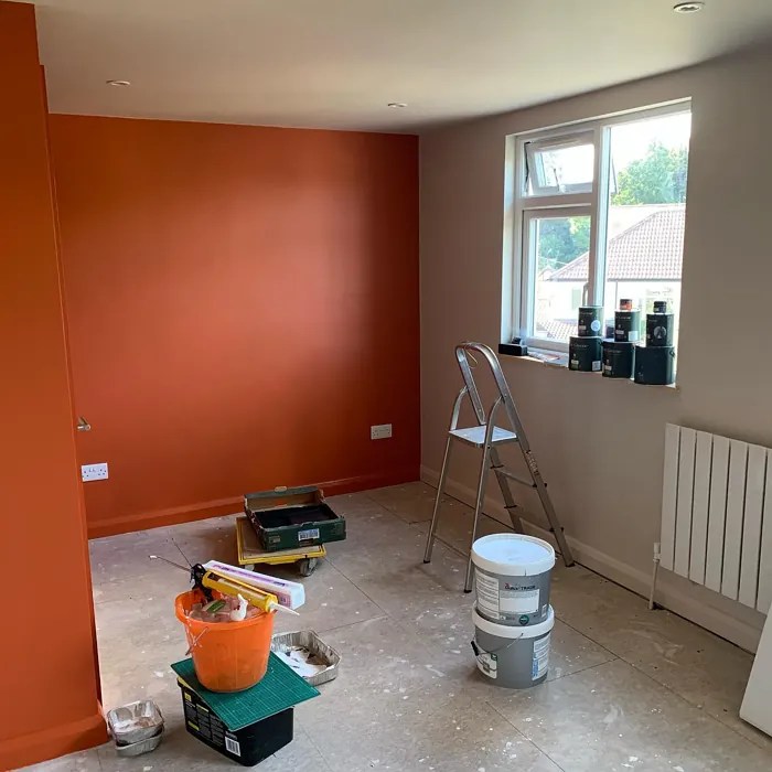 Little Greene Heat 24 6 real pictures