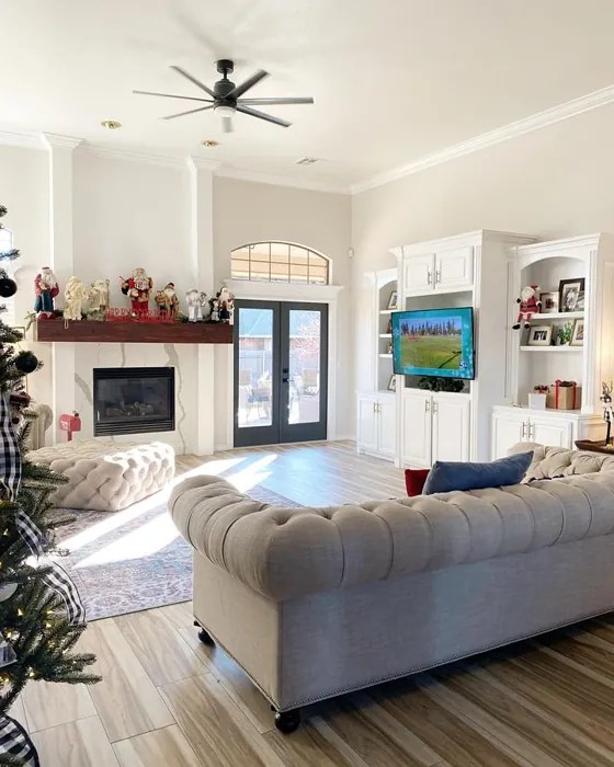 Sherwin Williams Heron Plume SW 6070 paint color