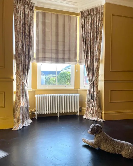 Farrow and Ball India Yellow 66 paint color