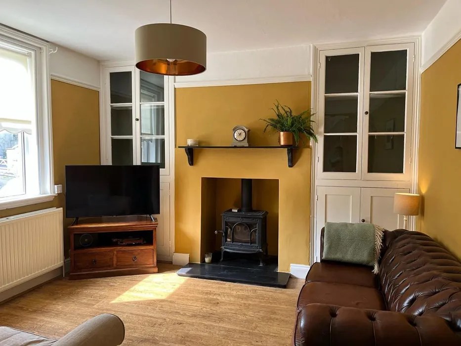 Farrow and Ball India Yellow 66 paint color