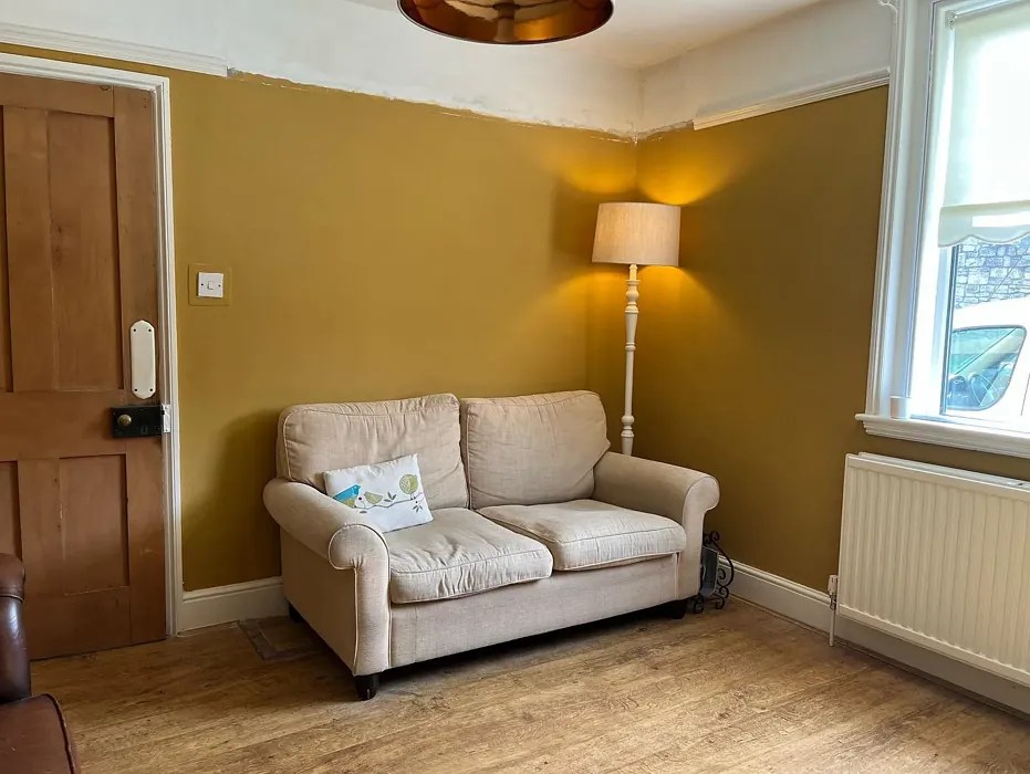 Farrow and Ball India Yellow 66 paint color