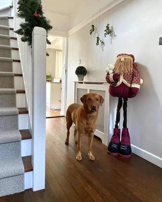 Little Greene Joanna 130 74 real pictures