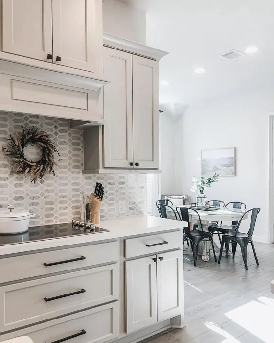 Sherwin Williams Knitting Needles SW 7672 14 real pictures