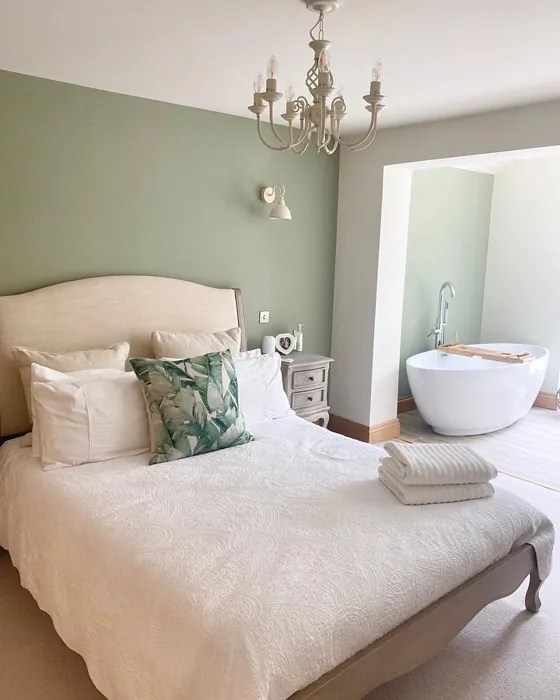 Farrow and Ball Lichen 19 paint color